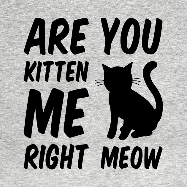 Are You Kitten Me Right Meow by Everydayoutfit